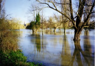 Flooded fens